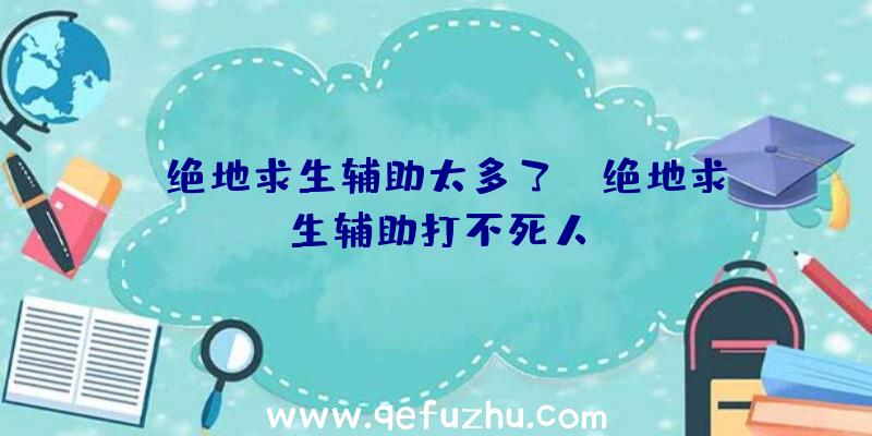 「绝地求生辅助太多了」|绝地求生辅助打不死人